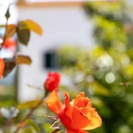 Nuvem Cristina C Piscina Obidos 3 Quartos Villa *